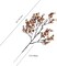 Light Brown Artificial Baby’s Breath European Flowers 6 Bundles Silk Gypsophila with Bendable Stems for Fall Valentine's Day and Easter Centerpiece Wedding Decor and Table Arrangements